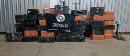 Polícia Militar localiza depósito com quase duas toneladas de maconha no Oeste 