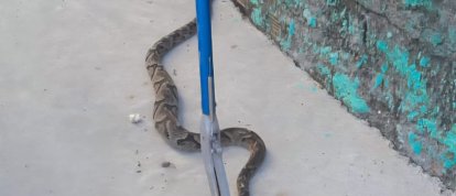 Foto: Rádio Capinzal