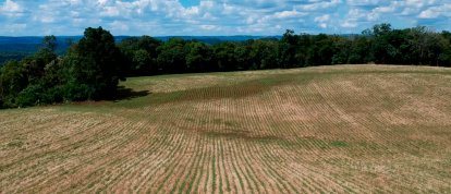 MPSC obtém decisão que impõe prazo para implementação efetiva do Cadastro Ambiental Rural em Santa Catarina