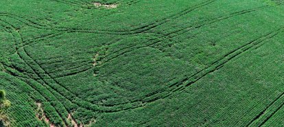 Ipuaçu: sombra do agroglifo volta a aparecer em lavoura de soja