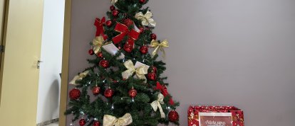 VÍDEO: adote uma cartinha na Rede Princesa e ajude a realizar sonhos de Natal