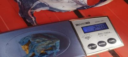 Homem e mulher são detidos por tráfico após enterrar drogas para escondê-la, em Xanxerê