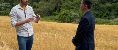 Mistério dos agroglifos em Ipuaçu ganha destaque nacional no Domingo Espetacular