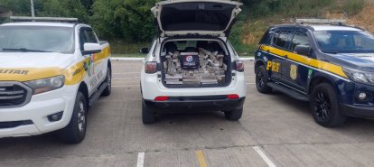 Ação conjunta apreende quase meia tonelada de maconha e recupera veículo furtado na BR-116