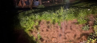 Foto: Corpo de Bombeiros