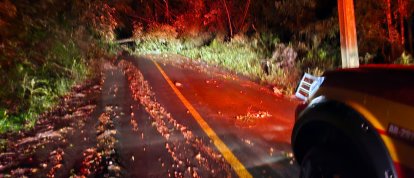 Foto: Corpo de Bombeiros