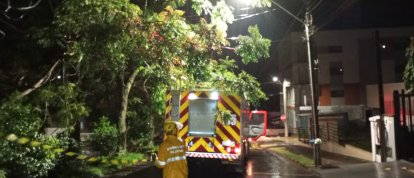 Temporal provoca queda de dezenas de árvores e mobiliza bombeiros em municípios do Oeste de SC