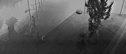 Foto: Assessoria de Comunicação