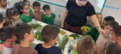 Alunos do Cemei Carrossel participam de atividade educativa sobre chás