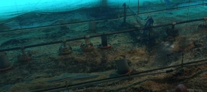 Incêndio atinge aviário no interior de Seara e mobiliza bombeiros