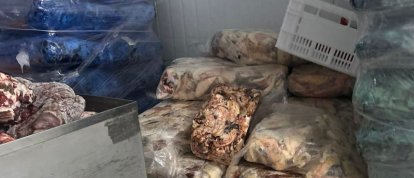 Operação conjunta interdita frigorífico por suspeita de fraude alimentar em Coronel Freitas