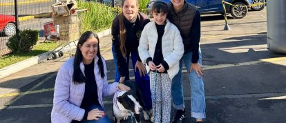 Feira de adoção garante novo lar para nove cães em Xanxerê
