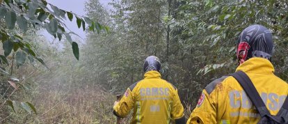 Bombeiros mantêm buscas por homem desaparecido em área rural de Seara