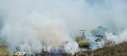 Incêndio em vegetação destrói cerca de 10 mil metros quadrados em município do Oeste