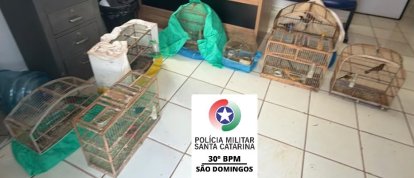 (Foto: Polícia Militar)