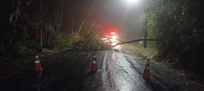 Foto: Prefeitura de Balneário Camboriú/Divulgação