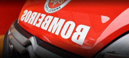 Bombeiros removem colmeia ativa de vespas em residência no interior