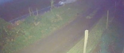 VÍDEO: mulher morre após carro bater de frente com caminhão na BR-282, em Ponte Serrada