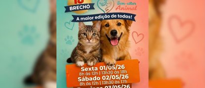 VÍDEO: a 18ª edição do brechó do Bem Estar Animal começa nesta sexta (01)