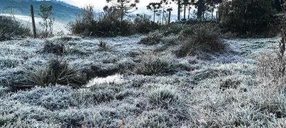 Neve, geada, sincelo e chuva congelada: entenda os fenômenos do frio extremo em SC