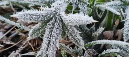 Massa de ar polar derruba temperaturas e aumenta risco de frio intenso em Santa Catarina