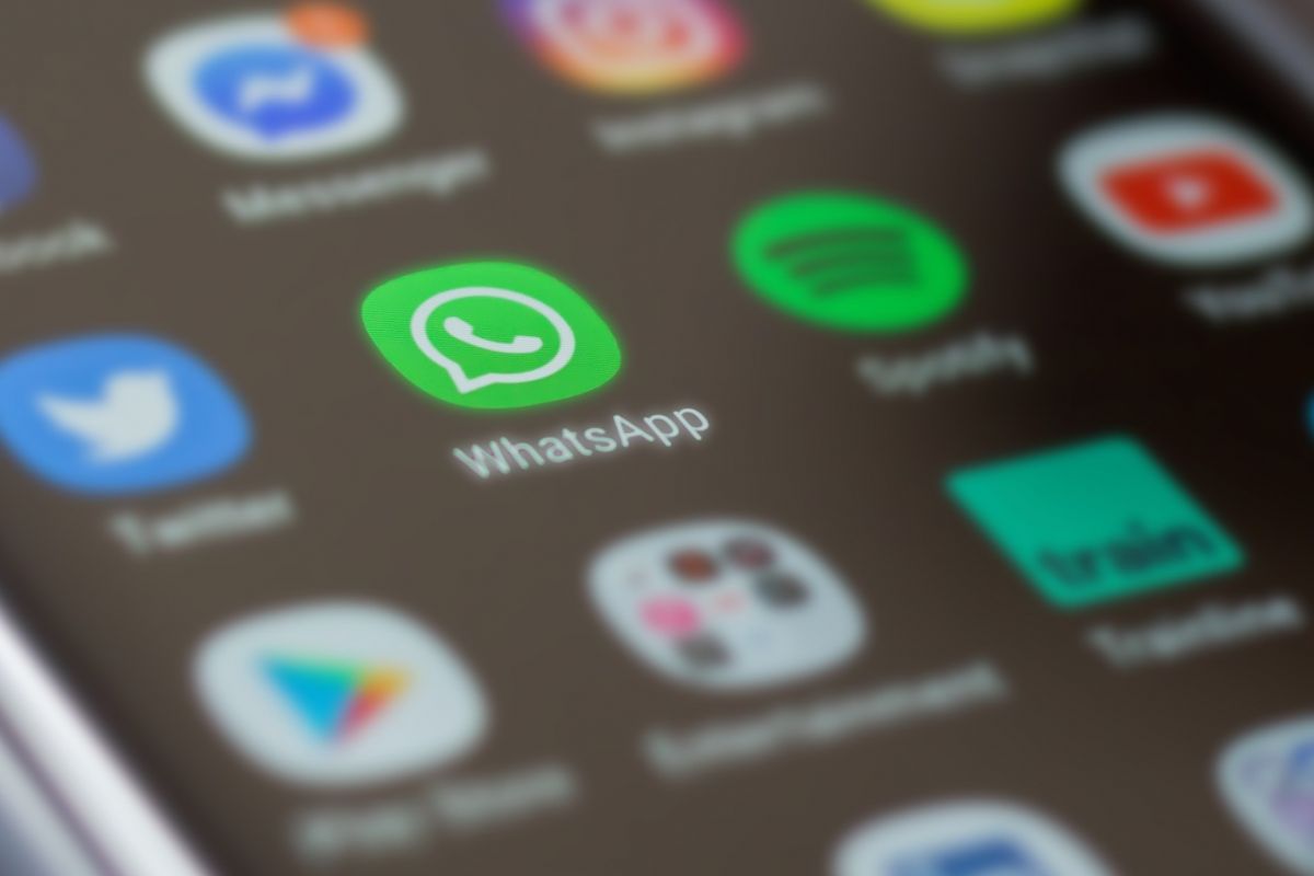 Saiba como receber as notícias do Canal Ideal no WhatsApp